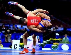 Image result for World Wrestling