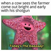 Image result for cowboy cows memes