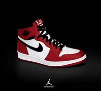 Image result for Jordan Case for Shoes