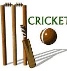 Image result for Improved Cricket Sign