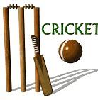 Image result for Cricket Phrases Funny