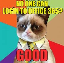 Image result for Grumpy Cat Office Memes