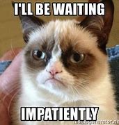 Image result for Waiting Impatiently Meme