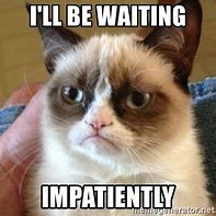 Image result for Grumpy Cat Waiting Meme