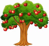 Image result for Apple Tree Vector