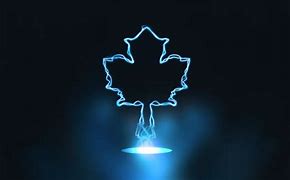 Image result for Pyramid Power Toronto Maple Leafs