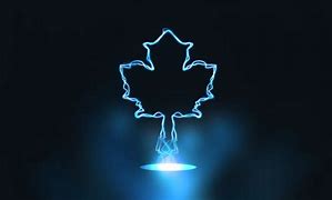 Image result for NHL Toronto Maple Leafs
