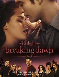 Image result for Breaking Dawn Book Cover