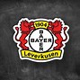 Image result for Bayer Leverkusen FC