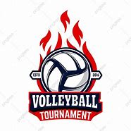 Image result for Volleyball Champions Logo