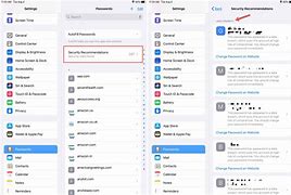 Image result for Psddword and Security On iPad