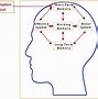 Image result for Schema Map Psychology Learning