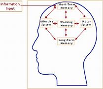 Image result for Human Memory System