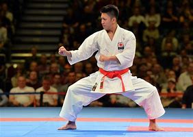 Image result for Japanese Karate National Team Art