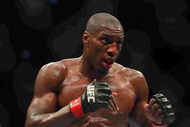 Image result for Great UFC Fighters