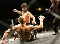 Image result for Sus MMA