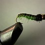 Image result for Green Lagoon Special Fly Pattern