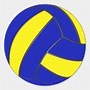 Image result for Blue and Yellow Volleyball