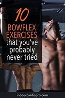Image result for 30-Day Bowflex Challenge Workout Routine