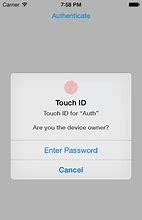 Image result for Show My Passwords On iPhone