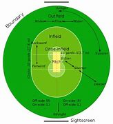 Image result for Labeled Cricket Pitch