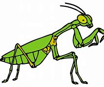 Image result for Cartoon Free Cricket Bug Clip Art