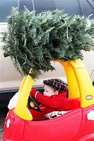 Image result for Funny Christmas Tree Signs