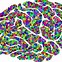Image result for Brain Graphic