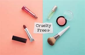 Image result for Cruelty Free Makeup Brands