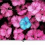 Image result for Samsung LED TV Screen