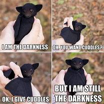 Image result for Bat MEME Funny