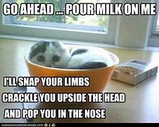 Image result for Funny Cat Smile Meme