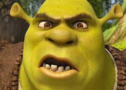 Image result for Shrek Funny Moments