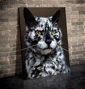 Image result for Framed Cat Wall Art