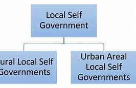Image result for Define Local Government
