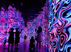 Image result for Light Exhibition