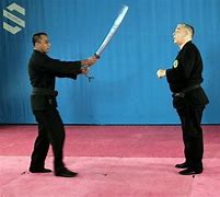 Image result for Martial Arts of India