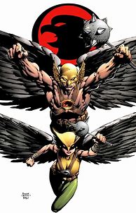 Image result for DC Comics Hawkman and Hawkgirl