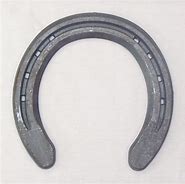 Image result for Horseshoes