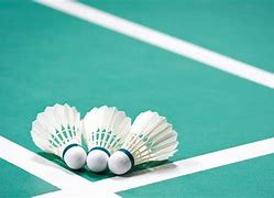 Image result for Badminton Court Dimensions in Meters