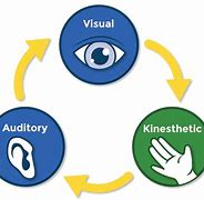 Image result for What Is a Kinesthetic Learner