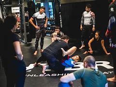 Image result for Mixed Martial Arts Techniques
