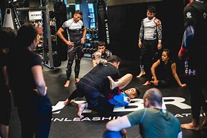 Image result for Mixed Martial Arts Training School