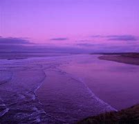 Image result for Tim Cook Beach