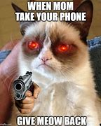 Image result for Cat On Phone Meme