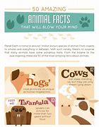 Image result for Cool Animal Facts