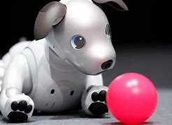 Image result for Perro Robot