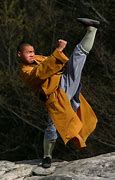 Image result for Shaolin Kung Fu Tattoo