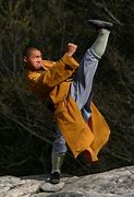 Image result for Shaolin Kung Fu Styles