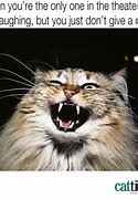 Image result for New Cat Meme 2019